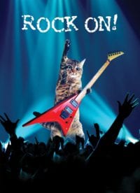 Rock Star Cat