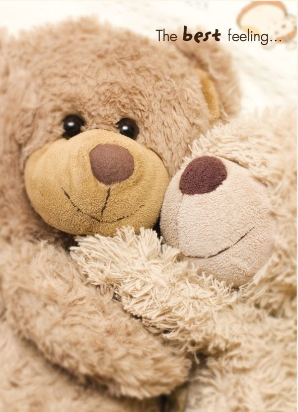 Teddy Bear Care
