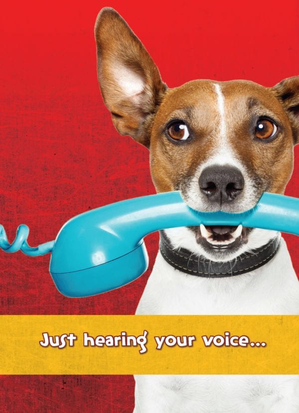 Dog Holding Phone