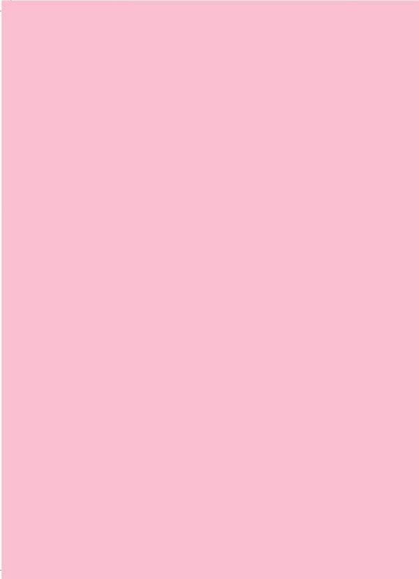 Pink Gerbera Daisy - Image 2