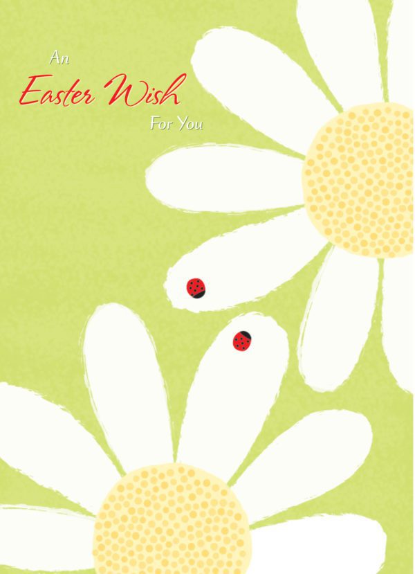 Daisy Pinwheels