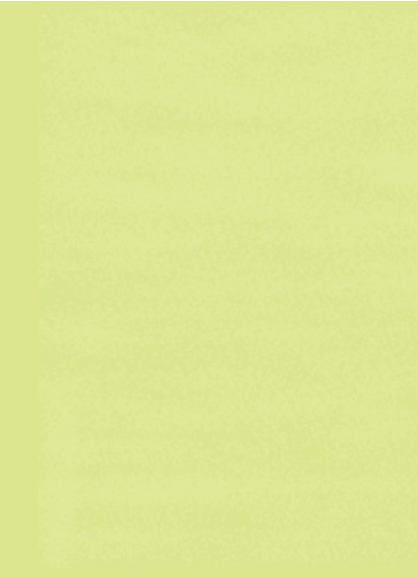Daisy Pinwheels - Image 2