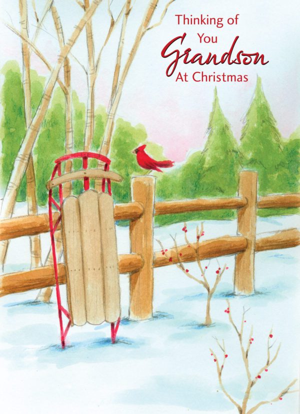 Cardinals and Sleigh Rides