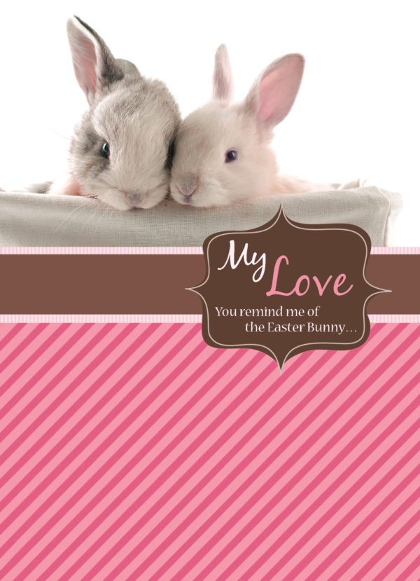 Bunny Cuddles