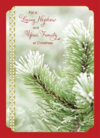 Snow-Covered Pine Needles