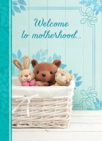 Plush Animal Basket